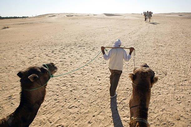 Douz, Kebili, Tunisia - September 17, 2012 : Beduins leading tourists on camels at the Sahara desert on September 17, 2012 in Douz, Kebili, Tunisia