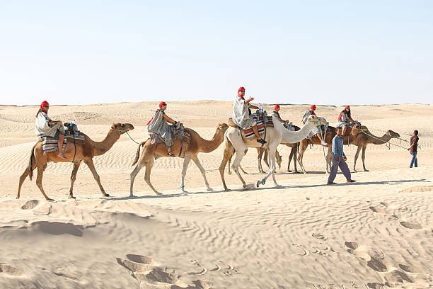 Douz, Kebili, Tunisia - September 17, 2012: Bedouins leading tourists on camels at short tourist tour around the beginning of Sahara desert in Douz, Tunisia.