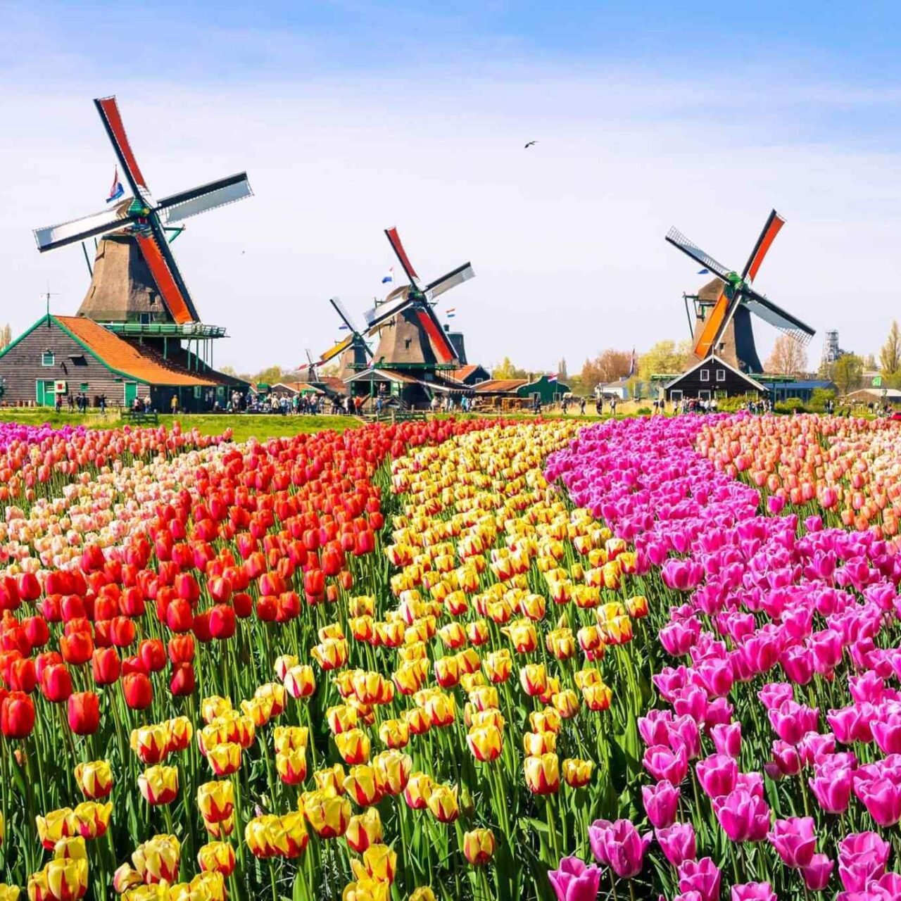 https://sunsetdouz.com/wp-content/uploads/2018/09/destination-netherlands-01-1280x1280.jpg