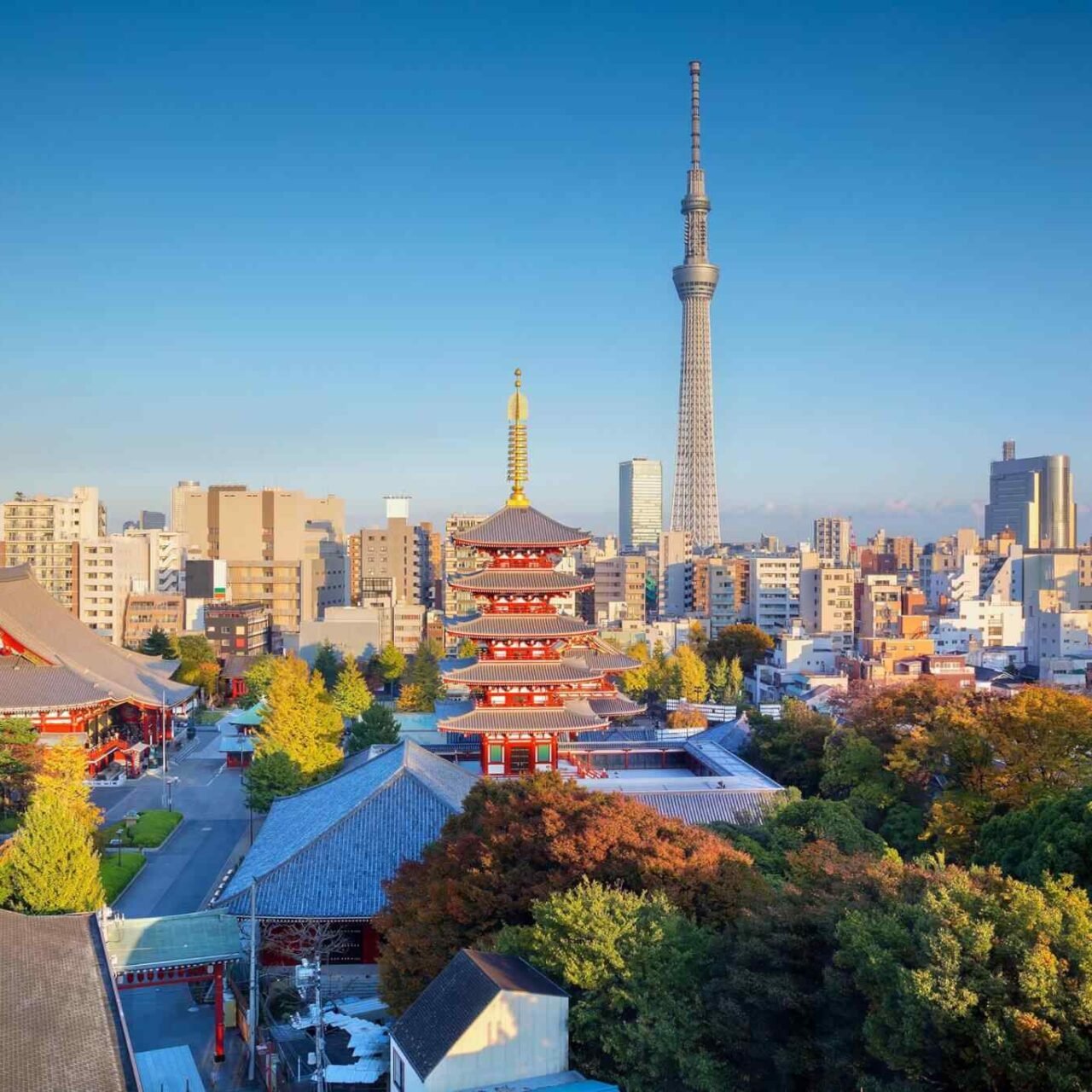 https://sunsetdouz.com/wp-content/uploads/2018/09/destination-tokyo-04-1280x1280.jpg