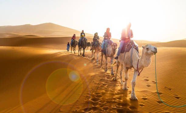 7-Days Tunisian Sahara Camel Trek