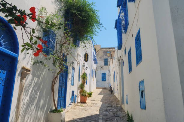 istockphoto-1183472388-612x612 A street in the Arab village of Sidi Bou Said. House with arabic windows and doors with blue ornaments, Sidi Bou Said, Tunisia, Africa