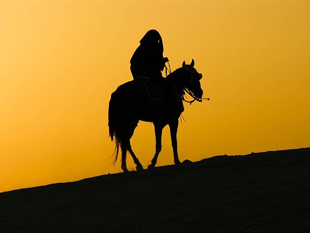 Horse Riding in the Tunisian Sahara