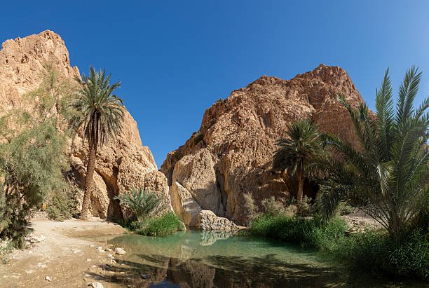 A picture of the Chebika Oasis in Tunisia.