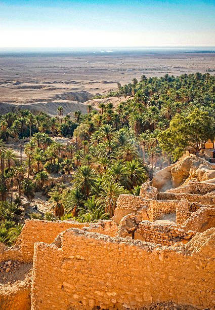 Panoramic high-angle view of the mountain oasis of Chebika in Tunisia, featuring ancient stone village ruins, lush green date palm trees, and a vast desert landscape under a clear sky.