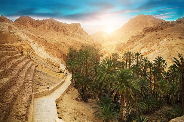 View of mountain oasis Chebika, Sahara desert, Tunisia, Africa