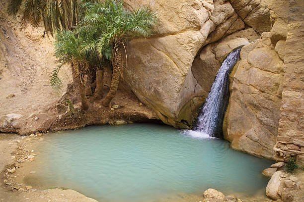 View of mountain oasis Chebika, Sahara desert, Tunisia, Africa