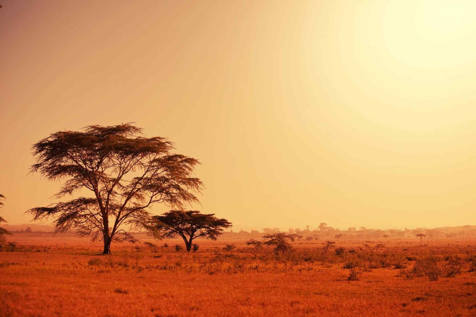 https://sunsetdouz.com/wp-content/uploads/2018/09/tour-africa-02.jpg