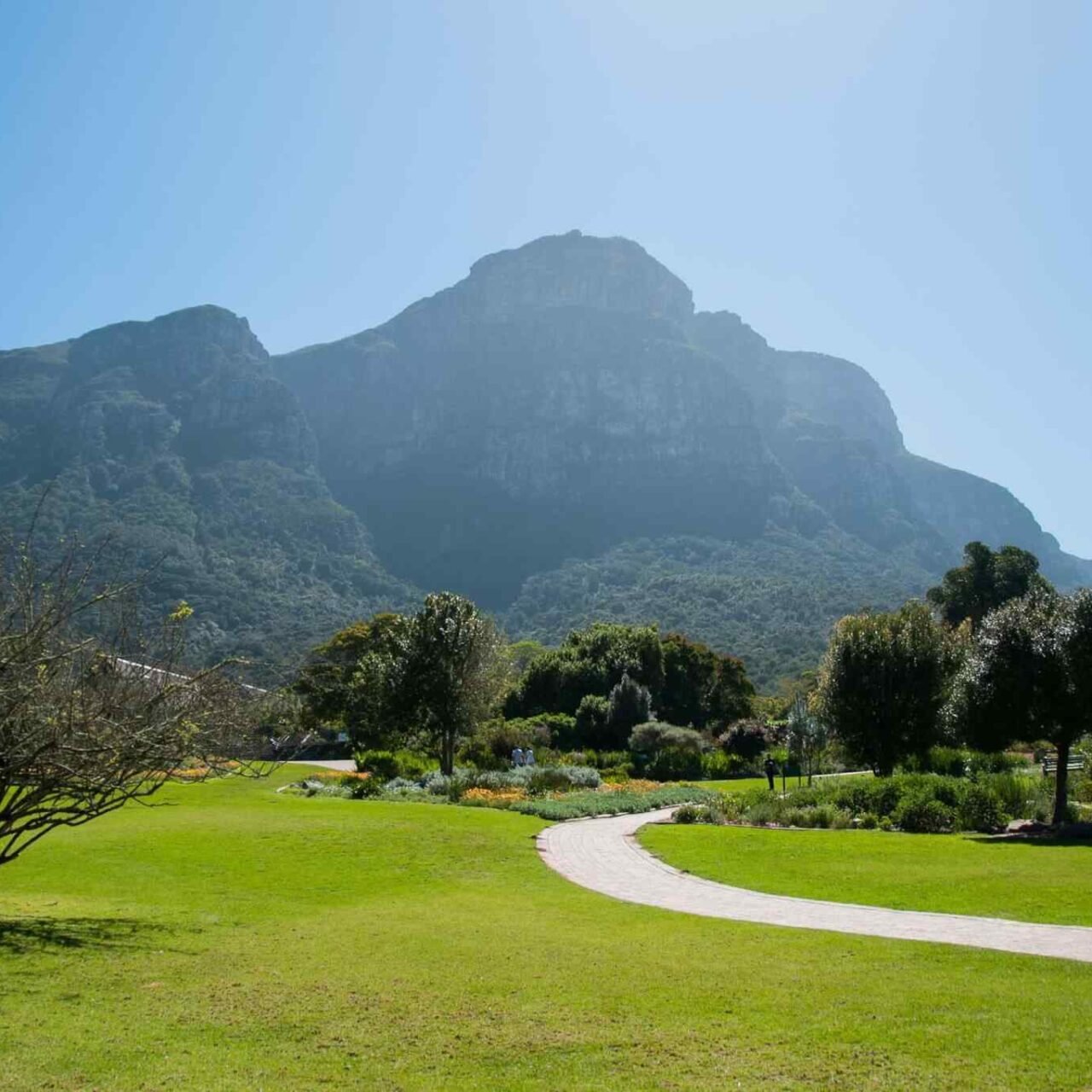 https://sunsetdouz.com/wp-content/uploads/2018/09/tour-capetown-03-1280x1280.jpg