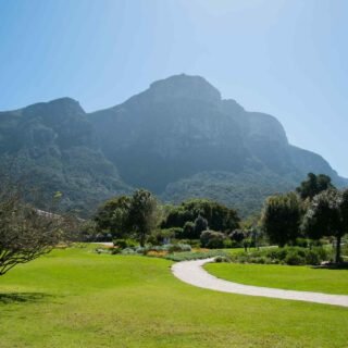 https://sunsetdouz.com/wp-content/uploads/2018/09/tour-capetown-03-320x320.jpg