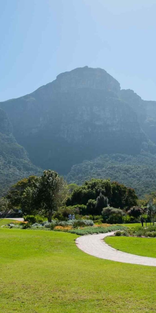 https://sunsetdouz.com/wp-content/uploads/2018/09/tour-capetown-03-640x1280.jpg