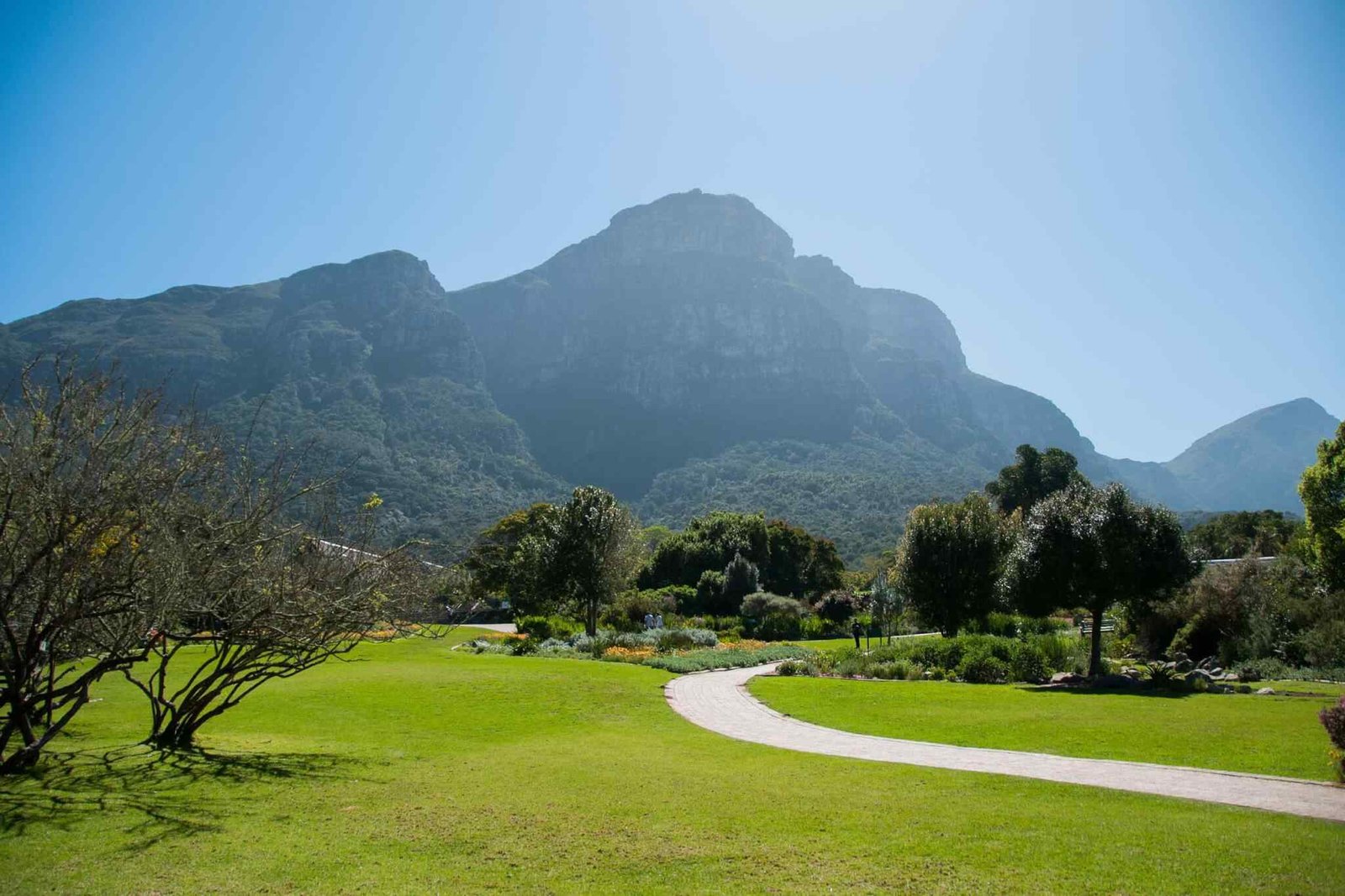 https://sunsetdouz.com/wp-content/uploads/2018/09/tour-capetown-03.jpg